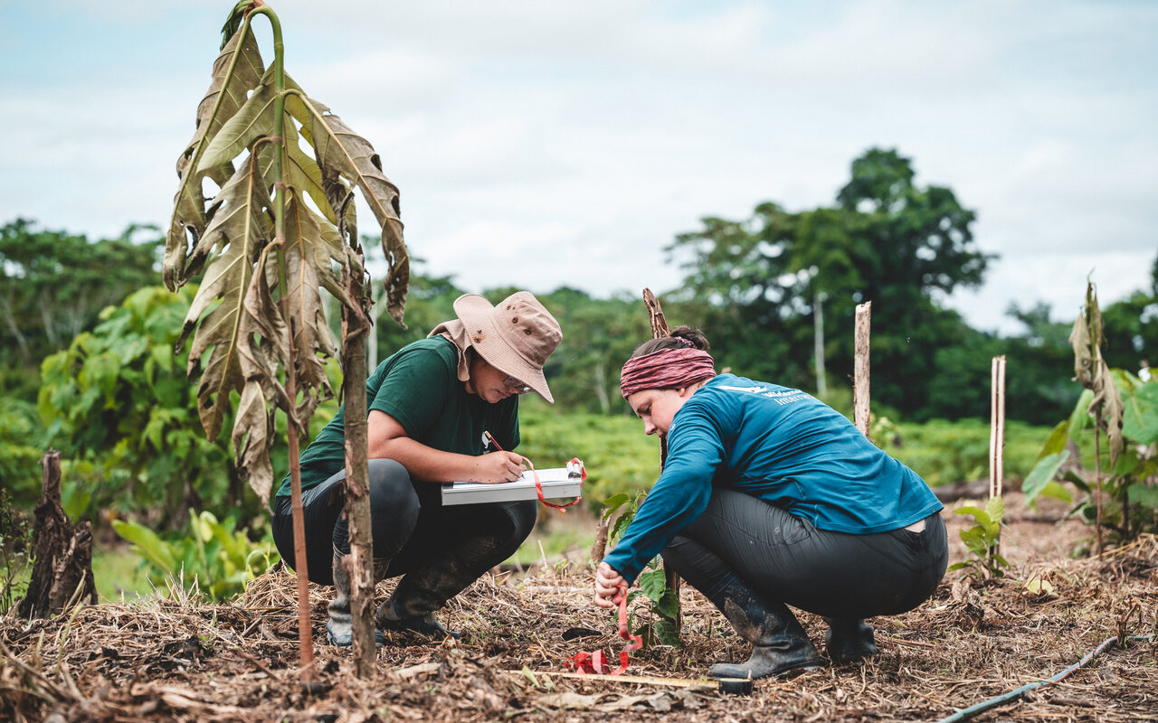 Grupo local del proyecto agroforestal