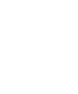 Ilustración: Plántula